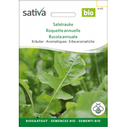 Sativa Rheinau Roquette - Graines