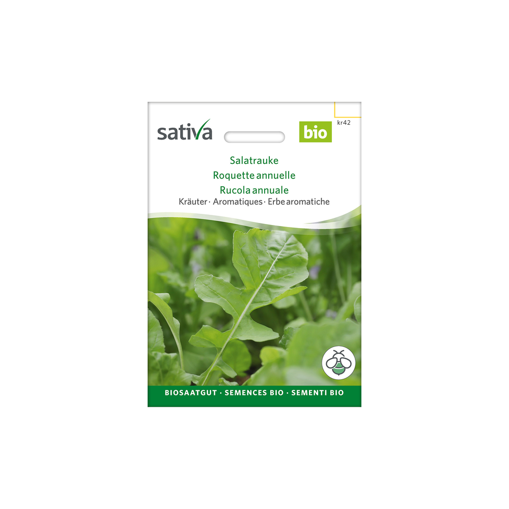 Sativa Rheinau Salad Rocket - Seeds