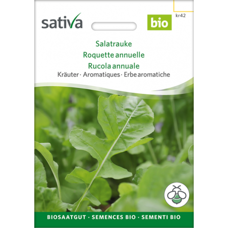 Sativa Rheinau Roquette - Graines