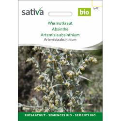 Sativa Rheinau Wermutkraut – Samen