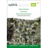 Sativa Rheinau Wermutkraut – Samen