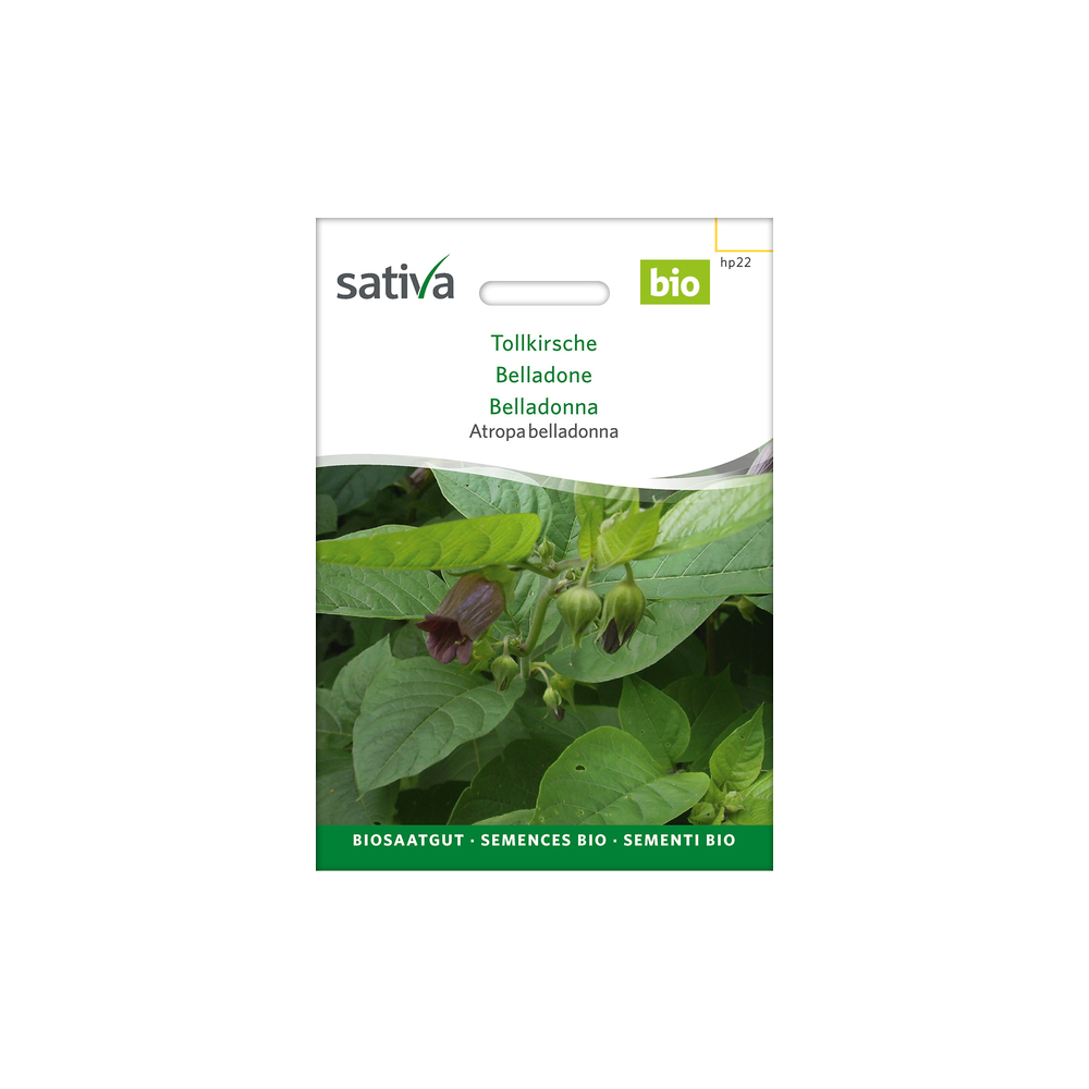 Sativa Rheinau Belladone – Graines