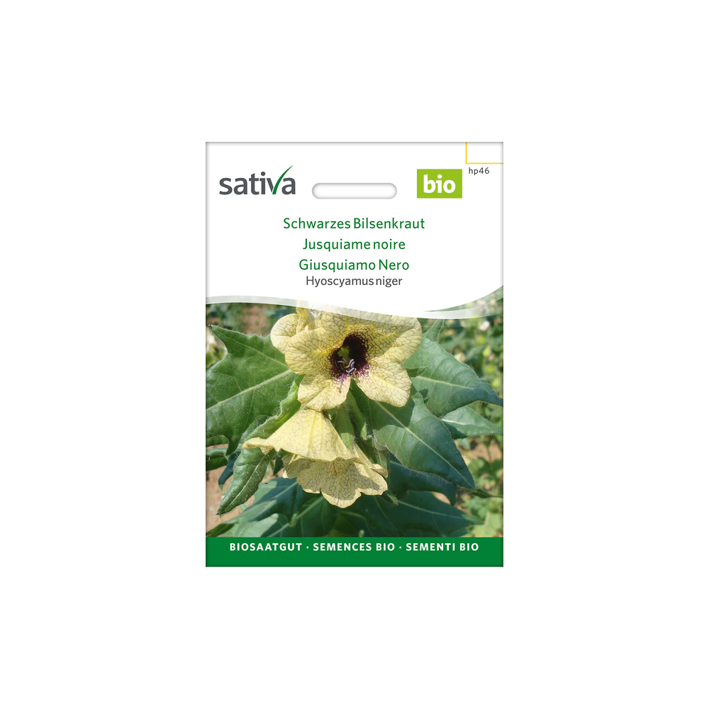 Sativa Rheinau Black Henbane – Seeds