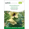Sativa Rheinau Black Henbane – Seeds