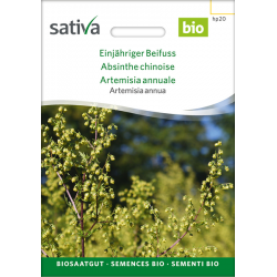 Sativa Rheinau Einjähriger Beifuß – Samen