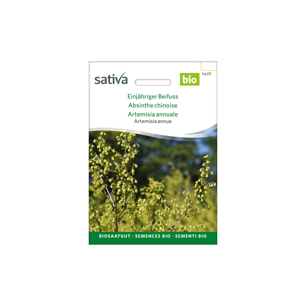 Sativa Rheinau Einjähriger Beifuß – Samen
