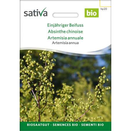 Sativa Rheinau Annual Mugwort – Seeds