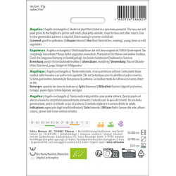Sativa Rheinau Engelwurz – Samen