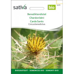 Sativa Rheinau Benedict’s thistle – seeds