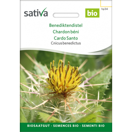 Sativa Rheinau Chardon de Saint-Benoît – Graines
