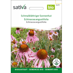 Sativa Rheinau Narrow-leaved Echinacea – Seeds