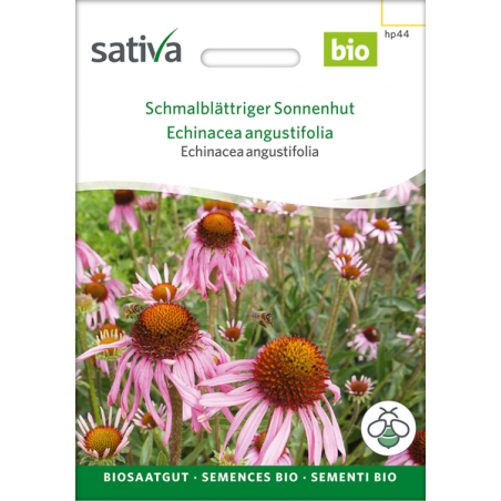 Sativa Rheinau Narrow-leaved Echinacea – Seeds