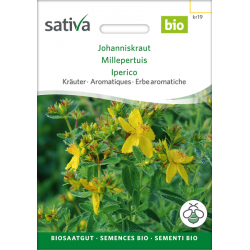 Sativa Rheinau St. John’s Wort – Seeds