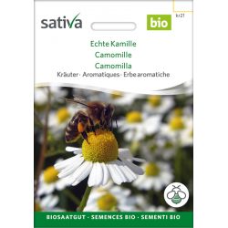 Sativa Rheinau True Chamomile – Seeds