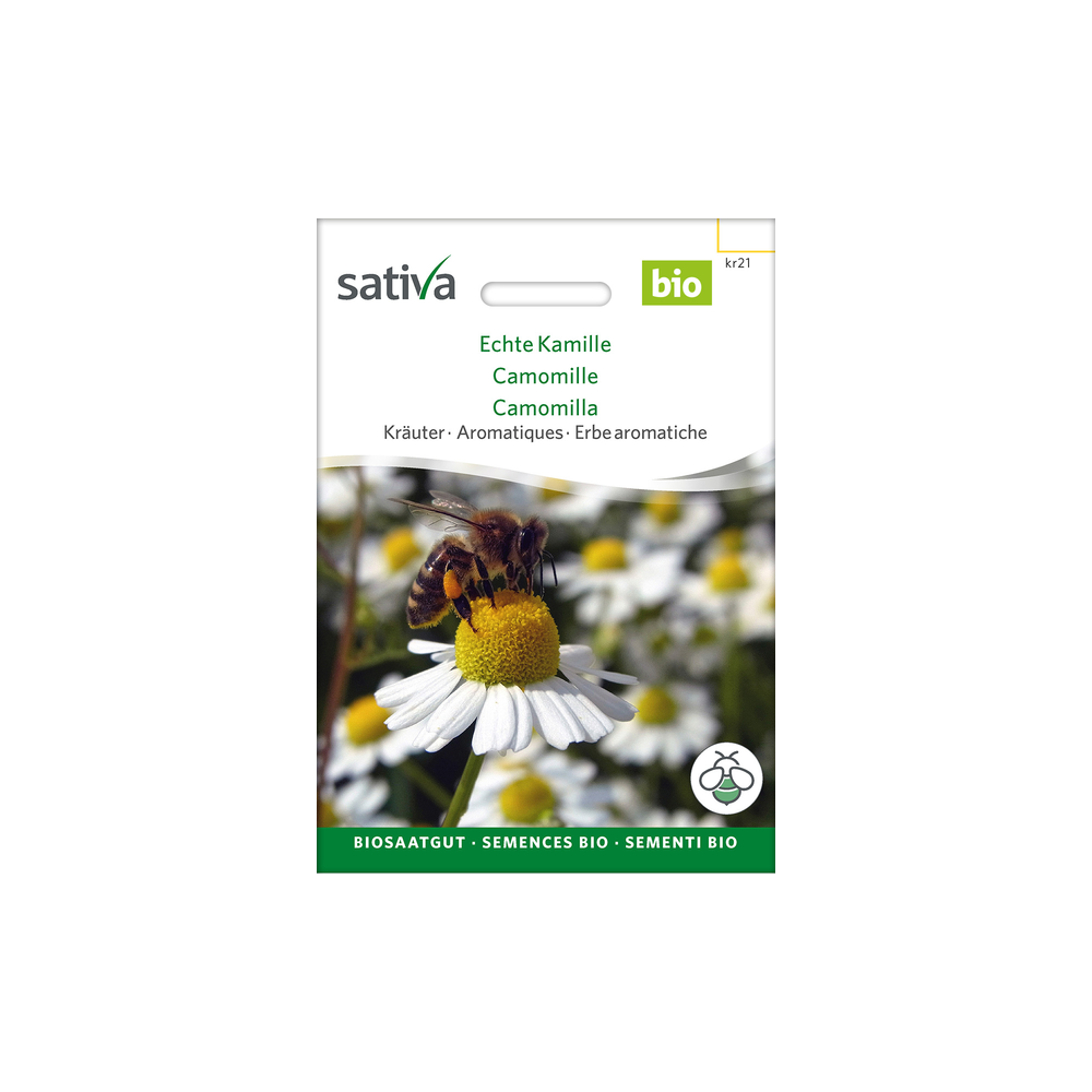 Sativa Rheinau Echte Kamille – Samen