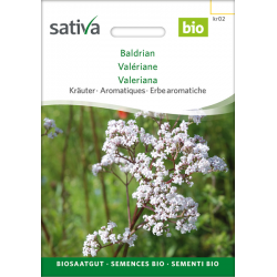 Sativa Rheinau Valériane – Graines