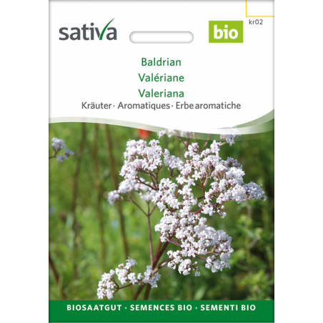 Sativa Rheinau Valériane – Graines