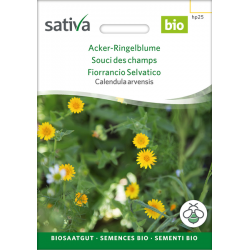 Sativa Rheinau Field Marigold – Seeds