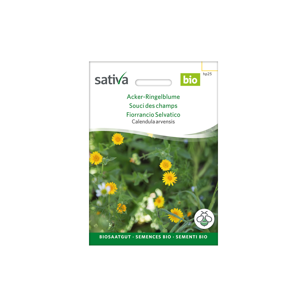 Sativa Rheinau Acker-Ringelblume – Samen