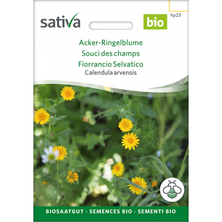 Sativa Rheinau Acker-Ringelblume – Samen