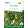 Sativa Rheinau Calendula des champs – Graines