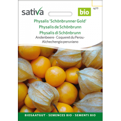 Sativa Rheinau Physalis / Andean berry “Schönbrunner Gold” – Seeds