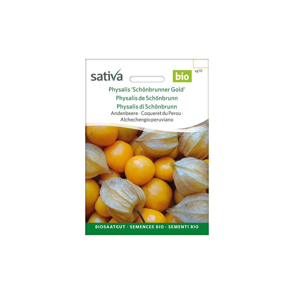 Sativa Rheinau Physalis / Andean berry “Schönbrunner Gold” – Seeds
