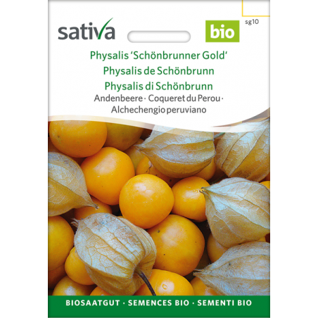 Sativa Rheinau Physalis / Andean berry “Schönbrunner Gold” – Seeds