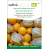 Sativa Rheinau Physalis / Baie des Andes « Schönbrunner Gold » – Graines