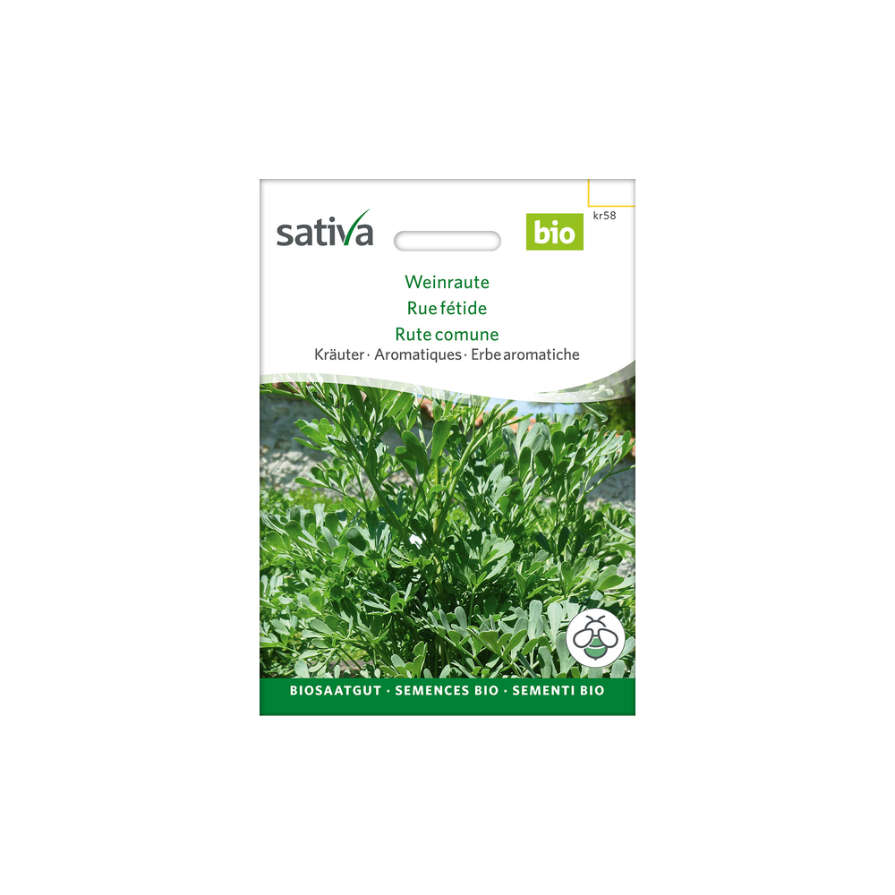 Sativa Rheinau Rue herb – Seeds