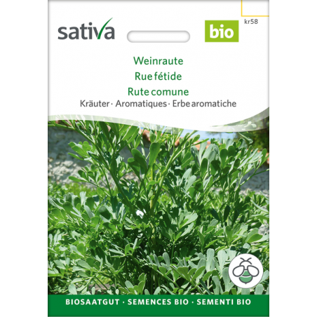 Sativa Rheinau Rue herb – Seeds