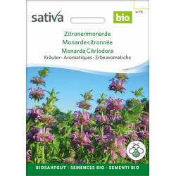 Sativa Rheinau Lemon Monarda – Seeds