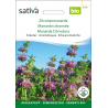 Sativa Rheinau Lemon Monarda – Seeds