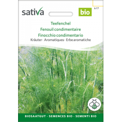 Sativa Rheinau Tea fennel – Seeds