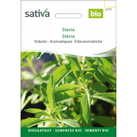 Sativa Rheinau Stevia – Graines