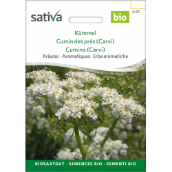 Sativa Rheinau Kümmel – Samen