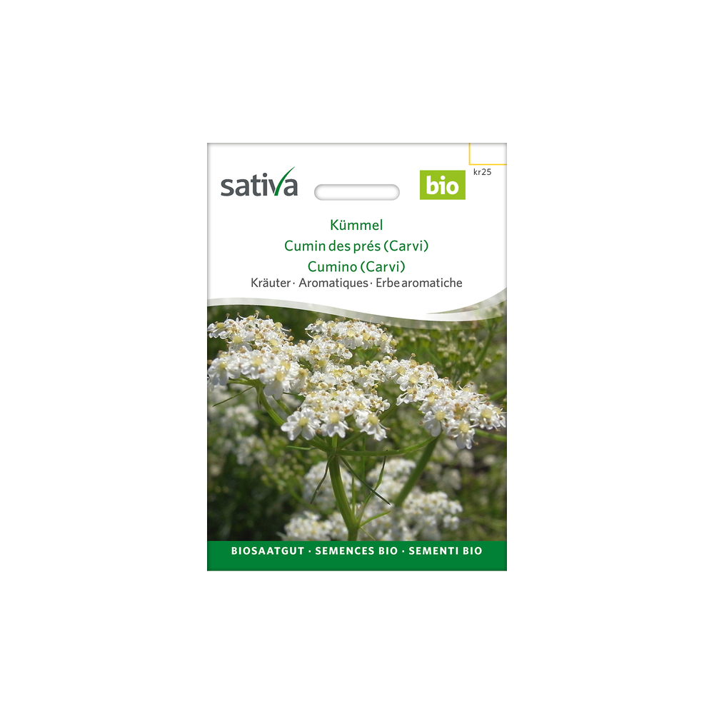 Sativa Rheinau Kümmel – Samen