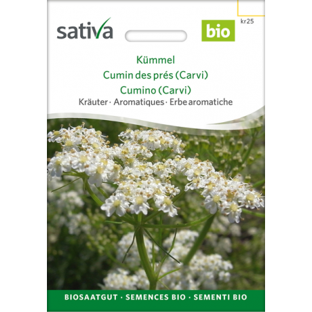 Sativa Rheinau Caraway – Seeds