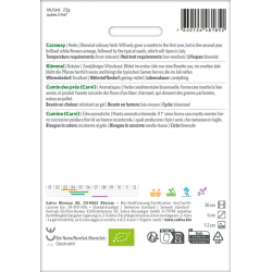 Sativa Rheinau Caraway – Seeds