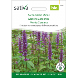Sativa Rheinau Korean Mint – Seeds
