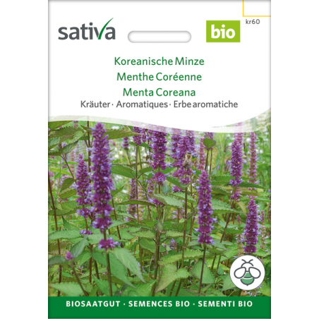 Sativa Rheinau Koreanische Menthe coréenne – Graines