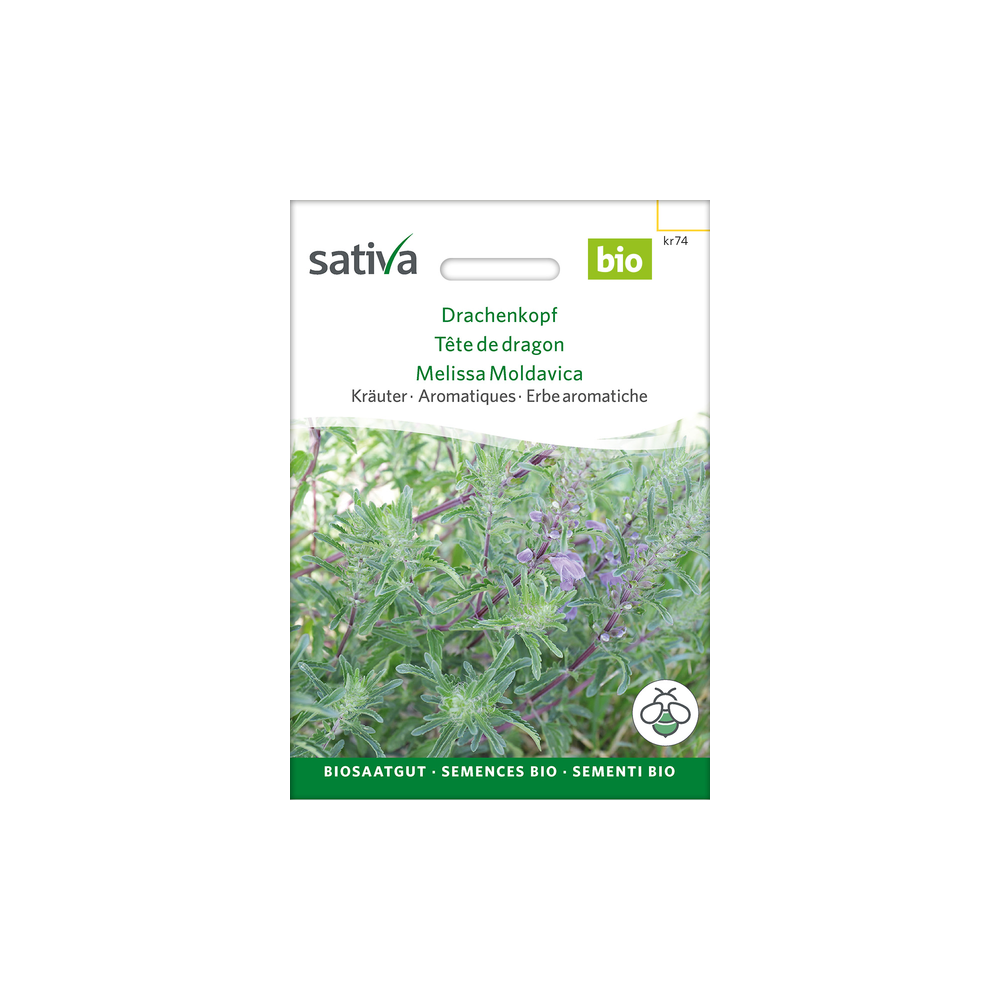 Sativa Rheinau Dragons Head – Seeds