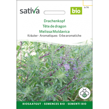 Sativa Rheinau Drachenkopf – Samen