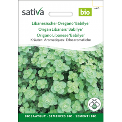 Sativa Rheinau Libanesischer Oregano Babilye – Samen