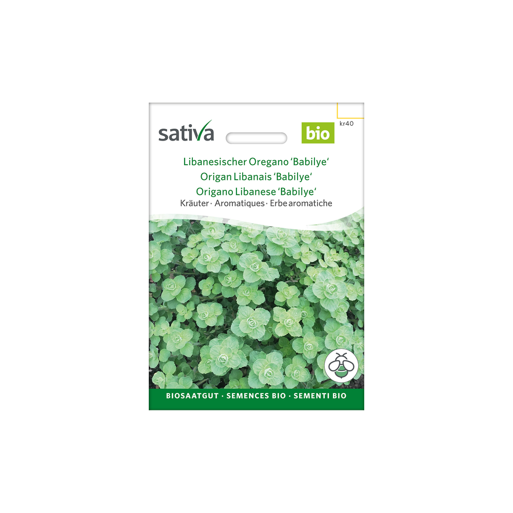 Sativa Rheinau Libanesischer Oregano Babilye – Samen