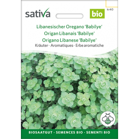 Sativa Rheinau Lebanese Oregano “Babilye” – Seeds