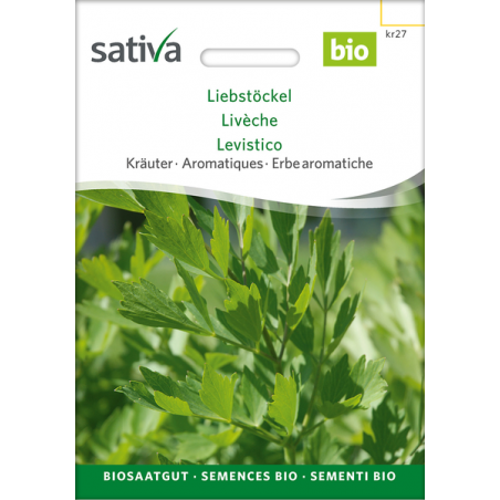 Sativa Rheinau Liebstöckel – Samen