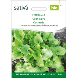 Sativa Rheinau Cochléaire – Graines