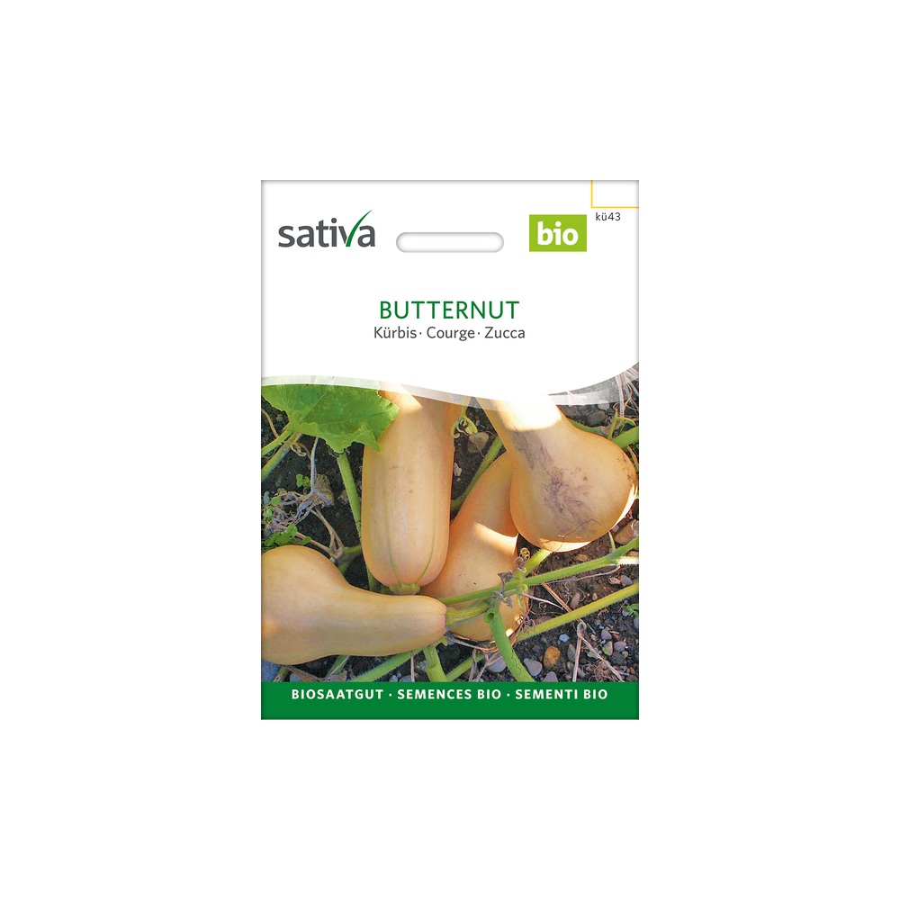 Sativa Rheinau Butternut  – Graines de Courge