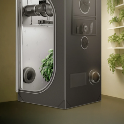 AC Infinity Growzelt Luftkanal-Belüftungsaufsatz, 200 mm – 2er-Pack